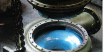 Bomba Goulds Reparada